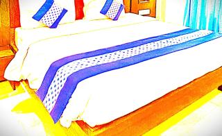 Hotel Blue lily In puri - 3