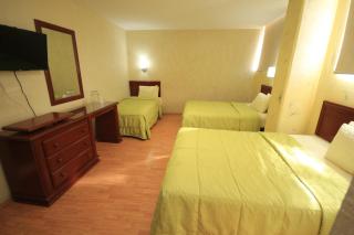 Hotel Enterprise Inn Plaza - León - 1