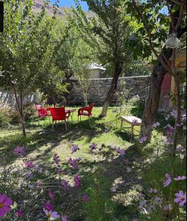 Home Stay Guest House Hot Spring Garamchashma Chitral - 5