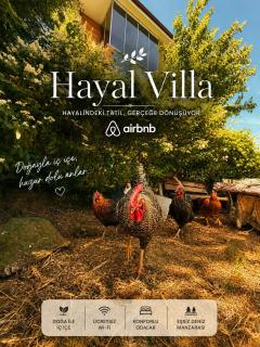 Hayal Villa - 3