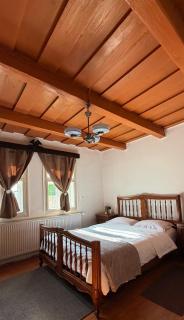 Casa Steluta-Ocna Mures - 2