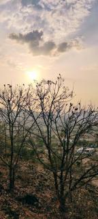 Aashray home stay kaziranga - 8