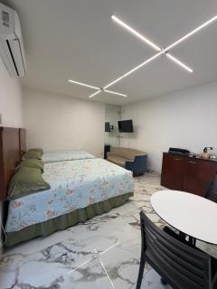 suites ejecutivas centro guadalupe - 8