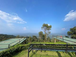 Wild Wayanad Tea Plantation Pool Resort - 3