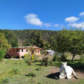 cabaña en el bosque - 2