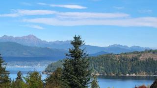 Northwest Stunner - 0