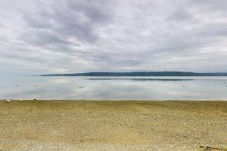 Whalehouse - 8