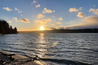 Tahuya Trees and Tides - 7