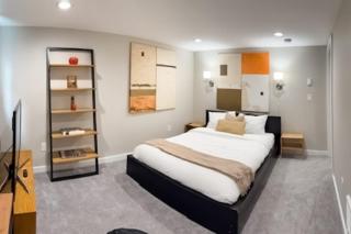 Husky Haven - 1