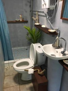 Bora bora Stopover - 7