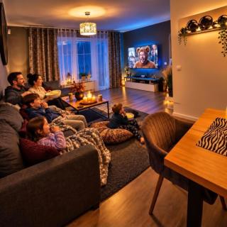 Villa for 10 persons with massage chair, sauna, billiard table and free electric vehicle station for electric cars - 9