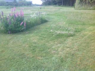Holiday Home Near Nature And Water - 1