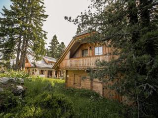 Gemütliches Chalethaus auf der Turracher Höhe - 3