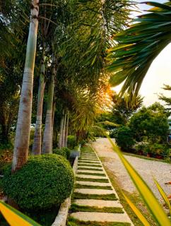 Nature Seaview - Saavedra - 6