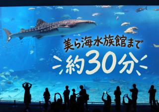 Kouri Garden 2026年10月リニューアルOPEN 古宇利島の一棟貸切ヴィラ - 7