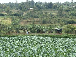 Legato Country Lodge Siaya - 1