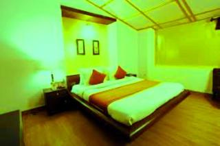 Hotel Neelam Palace - 2