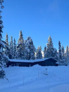 Trysilfjellet Cozy mountain cabin ski in and out - 0