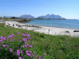 7 person holiday home in Bøstad - 6