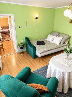 Dom Zofii pod Toruniem cisza spokój lasy rzeka Przytulny i czysty apartament w domu na wsi wśród lasów i rzeki Drwęca Zamieszkaj w klimacie PRL u babci Zofii -  - 8