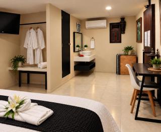 Suite Agave Spa aire acondicionado - 7