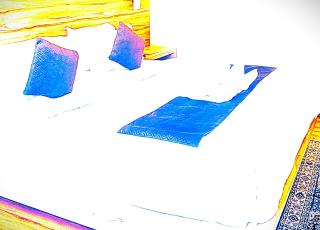Hotel Shree Gopal In Puri - 3