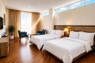 Promise Hotel - Addis Abeba - 2
