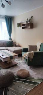 Cozy apartment in Tammiku near Jõhvi - 7