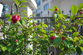 Hotel Oaza - Budva - 1
