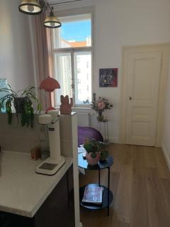 Art Nouveau apartment in the best neighborhood in Prague - 7
