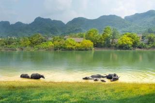 Tam Coc Moon An Bungalow & Cafe - 1