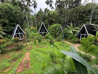 Ample Forest Khao Sok Farmstay -  - 0