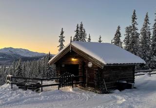 Liaplassen Mountain Chalet - Beitostølen - 2