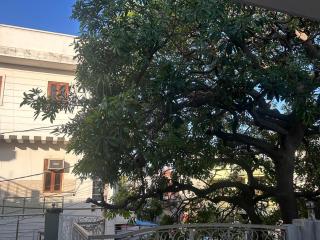 Shiva house - 5