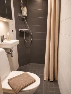 In the heart of Helsinki a cozy studio apartment - 1