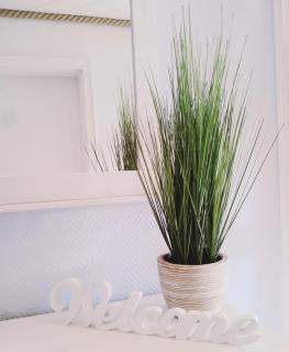 Strandgut - das appartement - 2