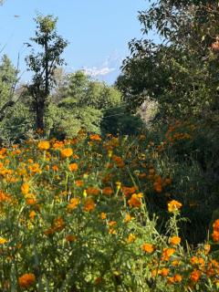 Himalya Nepal Farm House - 7