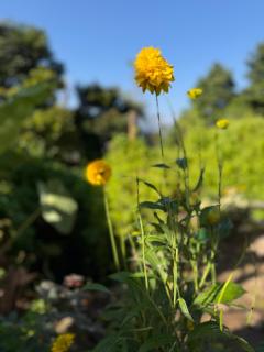 Himalya Nepal Farm House - 4