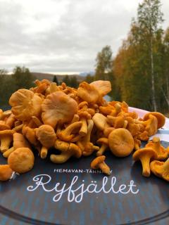 Hemavan, Ski in-Ski out, Kungsvägen 7A - 7