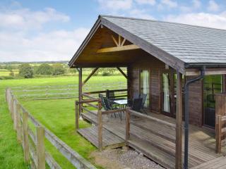 Dartmoor - Uk12537 - Witheridge - 8