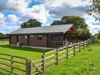 Dartmoor - Uk12537 - Witheridge - 6