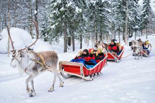 Louhi Nordic Home - 6