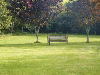 Camellia Cottage - 2