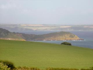 Camellia Cottage - 1