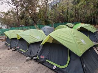 JFR campsite - 4