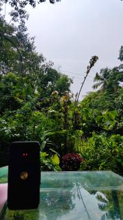 Wild Village Stay Gokarna - 8