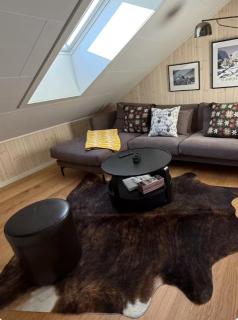 Modern Mountain Cabin in Sälen - 6