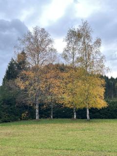 Refugium Mitterbach - Mitterbach - 7