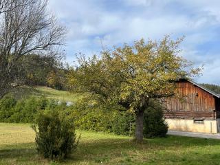 Refugium Mitterbach - Mitterbach - 5