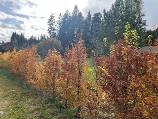 Refugium Mitterbach - Mitterbach - 8